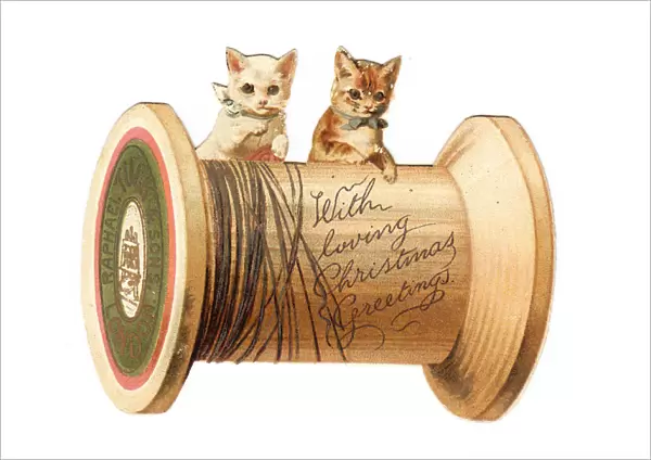 Two kittens with cotton reel on a cutout Christmas card