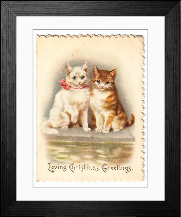 Framed Print : Two cats on a Christmas card Framed Print : Two cats on a Christmas card