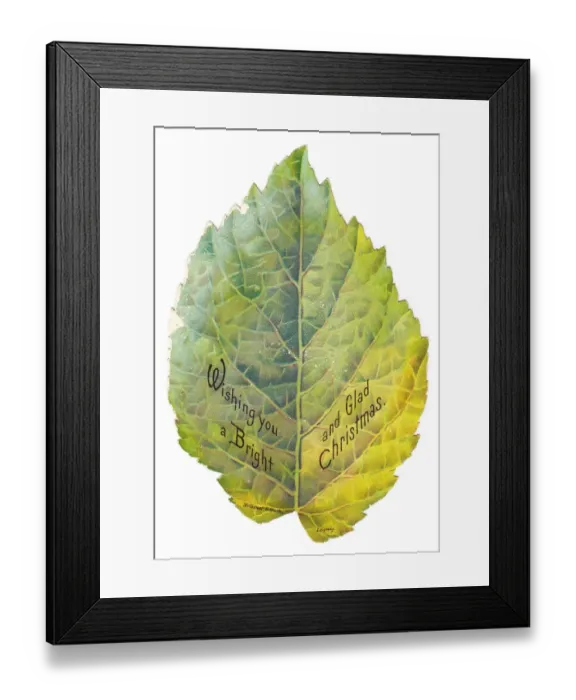 Framed Print : Christmas card in the shape of a green leaf Framed Print : Christmas card in the shape of a green leaf