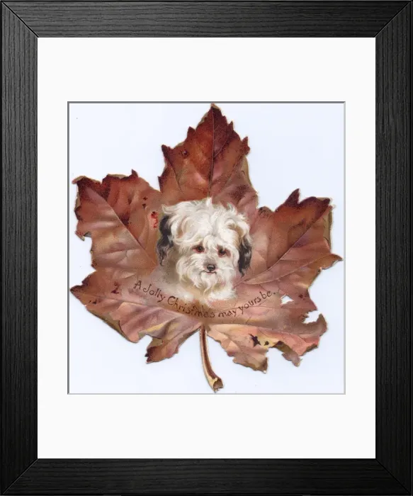 Framed Print : Christmas card in the shape of an autumn leaf Framed Print : Christmas card in the shape of an autumn leaf