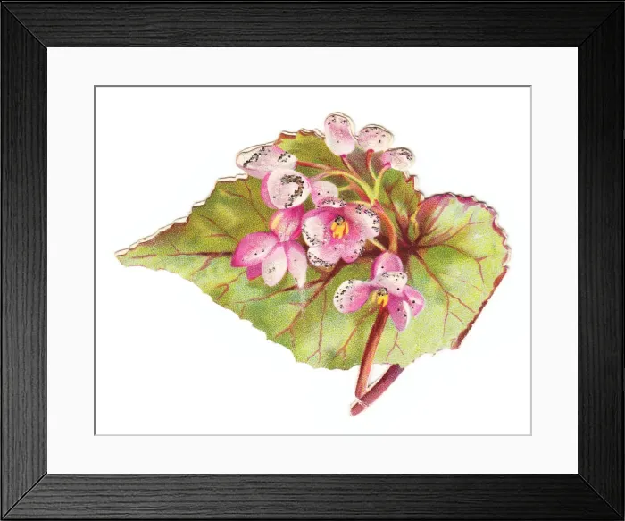 Framed Print : Greetings card in the shape of a green leaf with flowers Framed Print : Greetings card in the shape of a green leaf with flowers