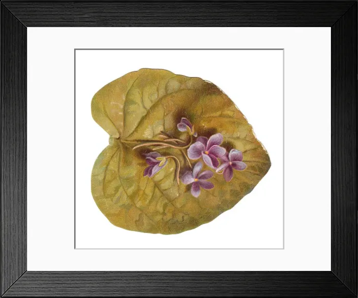 Framed Print : Greetings card in the shape of a leaf with purple flowers Framed Print : Greetings card in the shape of a leaf with purple flowers