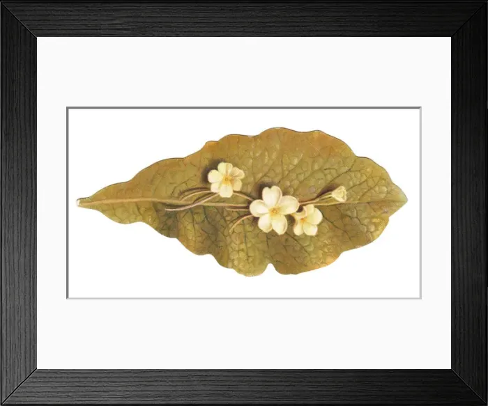 Framed Print : Greetings card in the shape of a leaf with white flowers Framed Print : Greetings card in the shape of a leaf with white flowers