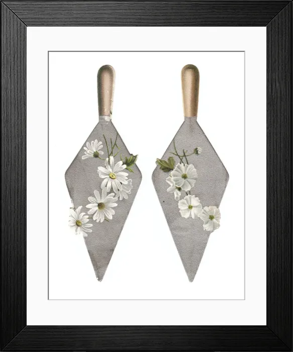 Framed Print : White flowers on trowels on two cutout greetings cards Framed Print : White flowers on trowels on two cutout greetings cards