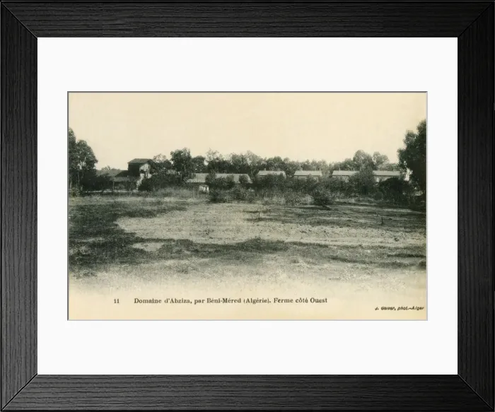 Framed Print : West side of Abziza Farm, Beni-Mered Framed Print : West side of Abziza Farm, Beni-Mered
