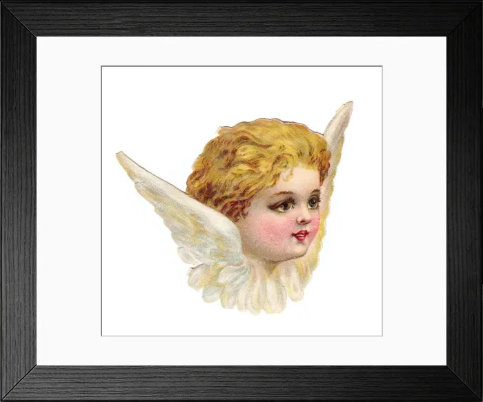 Framed Print : Cherub head with wings on a Victorian scrap Framed Print : Cherub head with wings on a Victorian scrap