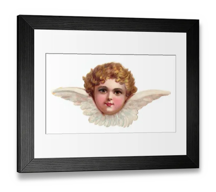 Framed Print : Cherub head with wings on a Victorian scrap Framed Print : Cherub head with wings on a Victorian scrap