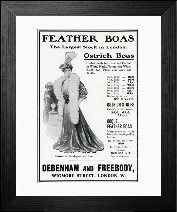 Framed Print : Advert for Debenham & Freebody feather boas 1905 Framed Print : Advert for Debenham & Freebody feather boas 1905