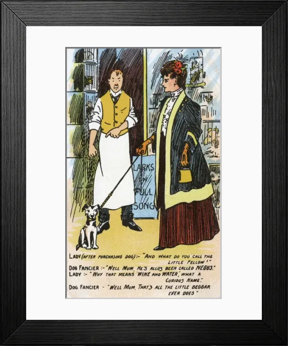 Framed Print : Pet Shop - Hilarious Postcard - Purchasing a Puppy Framed Print : Pet Shop - Hilarious Postcard - Purchasing a Puppy