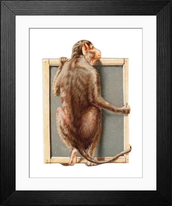 Framed Print : Monkey holding a slate on a cutout Christmas card Framed Print : Monkey holding a slate on a cutout Christmas card