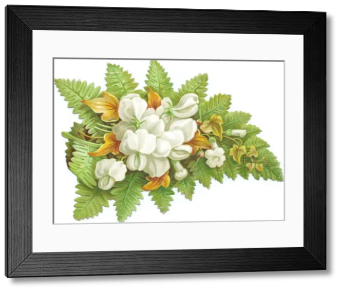 Framed Print : White flowers and a fern on a cutout Christmas card Framed Print : White flowers and a fern on a cutout Christmas card