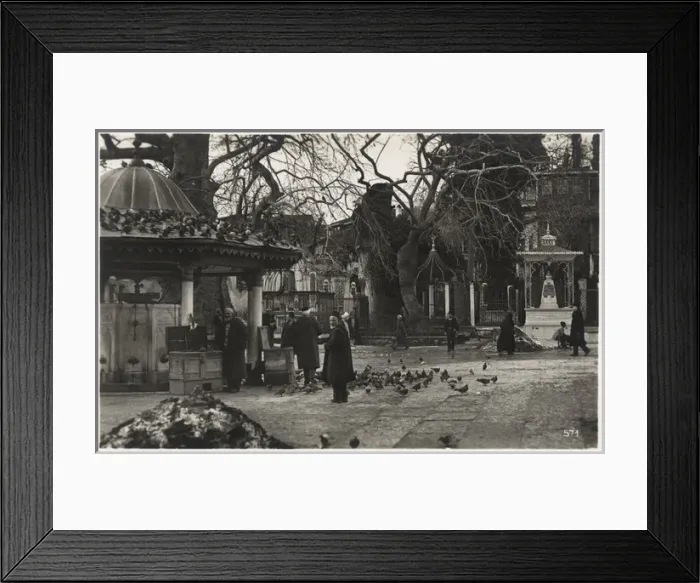 Framed Print : Istanbul, Turkey - Pigeons in the courtyard of a Mosque Framed Print : Istanbul, Turkey - Pigeons in the courtyard of a Mosque