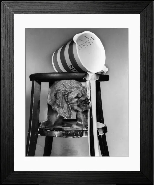 Framed Print : Susi - spilt milk Framed Print : Susi - spilt milk