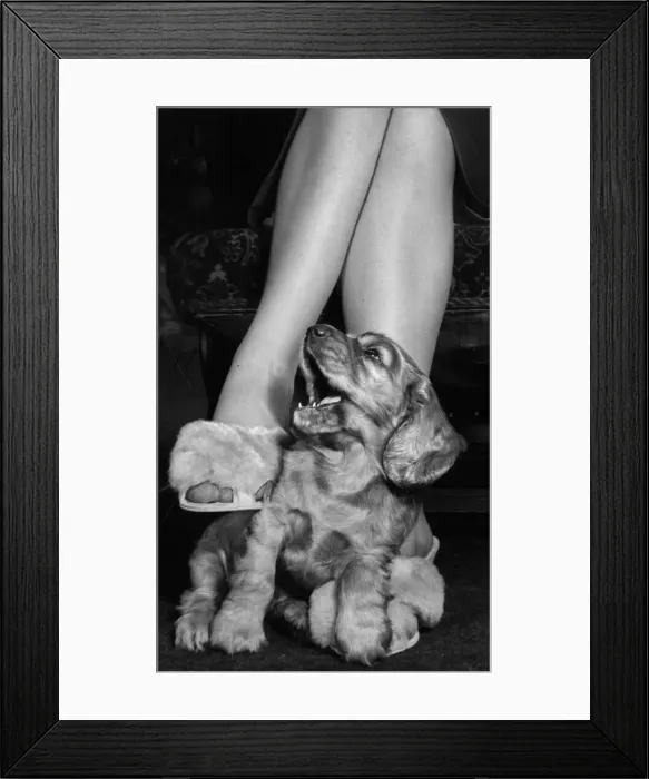 Framed Print : Susi - sitting at Mums feet Framed Print : Susi - sitting at Mums feet