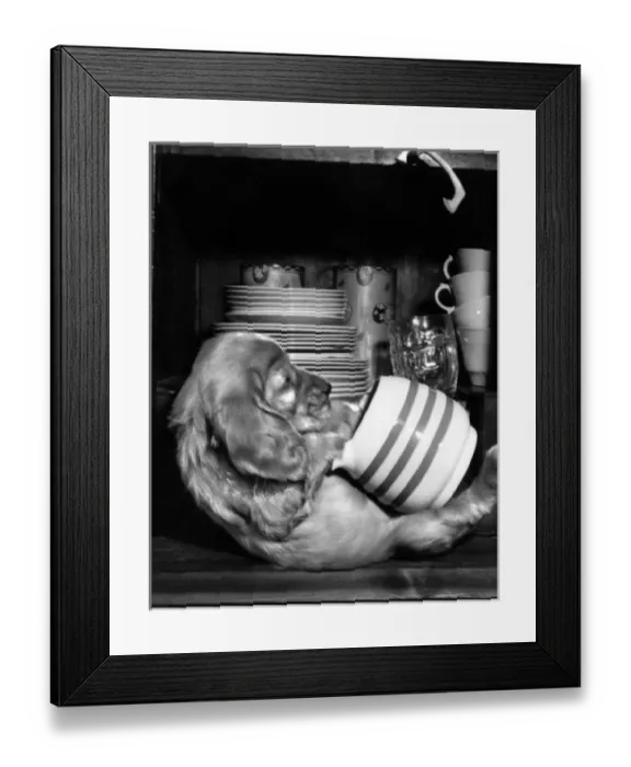 Framed Print : Susi - with milk jug Framed Print : Susi - with milk jug