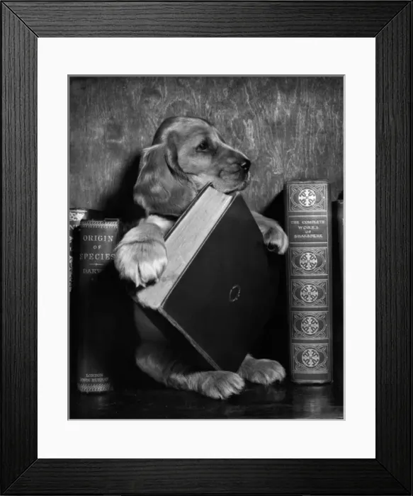 Framed Print : Susi - with books Framed Print : Susi - with books