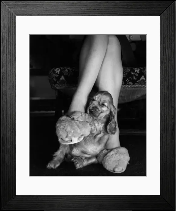 Framed Print : Susi - sitting at Mums feet Framed Print : Susi - sitting at Mums feet