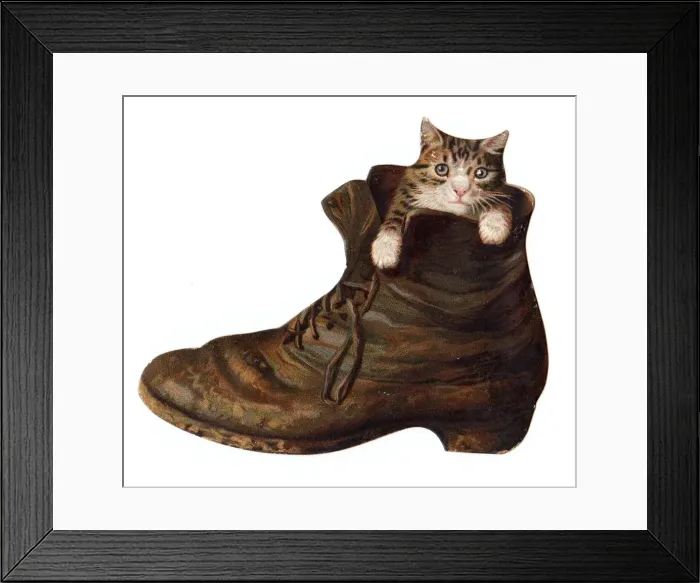Framed Print : Kitten inside an old boot on a greetings card Framed Print : Kitten inside an old boot on a greetings card