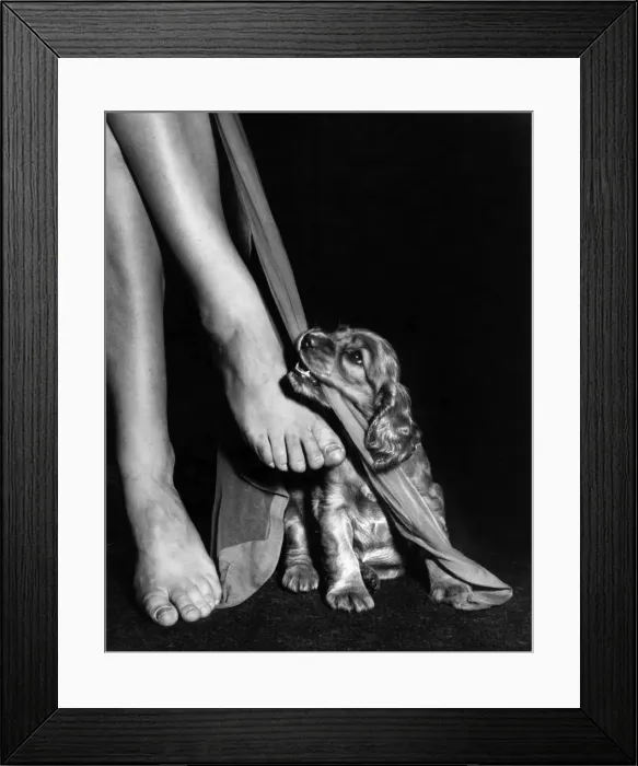 Framed Print : Susi - ruining Mums stockings Framed Print : Susi - ruining Mums stockings