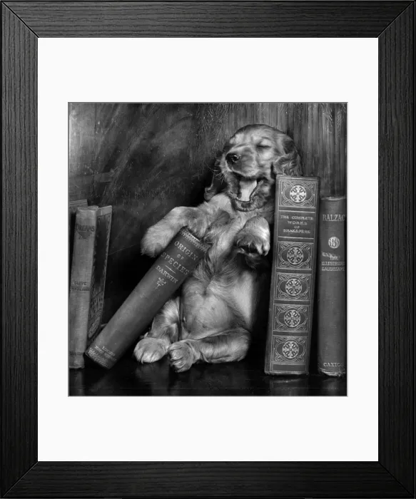 Framed Print : Susi - with books Framed Print : Susi - with books