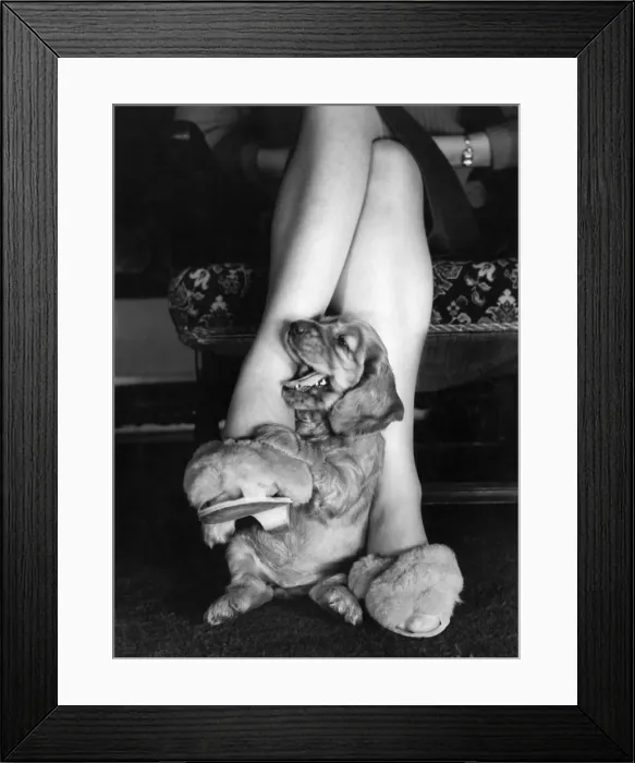Framed Print : Susi - sitting at Mums feet Framed Print : Susi - sitting at Mums feet