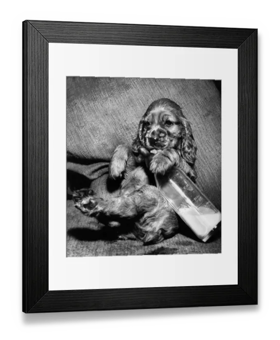 Framed Print : Susi - with milk bottle Framed Print : Susi - with milk bottle