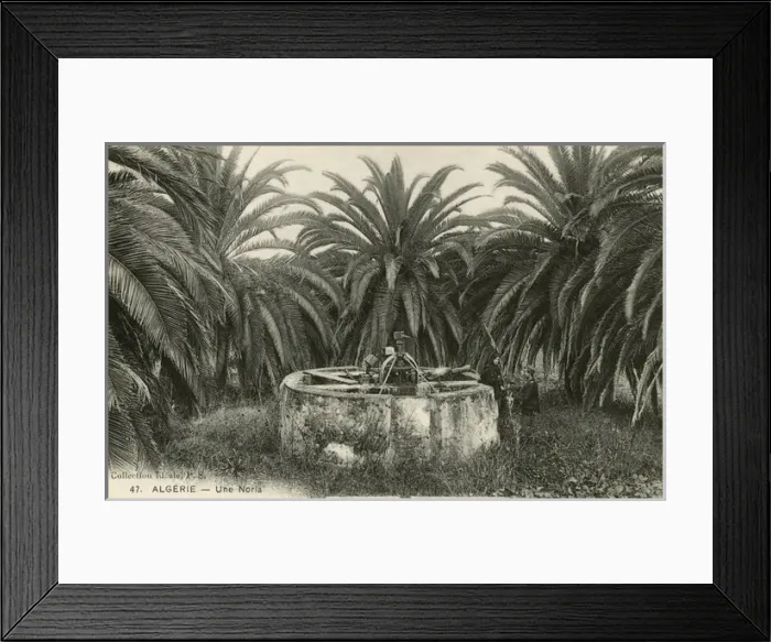 Framed Print : A waterwheel, Algeria Framed Print : A waterwheel, Algeria