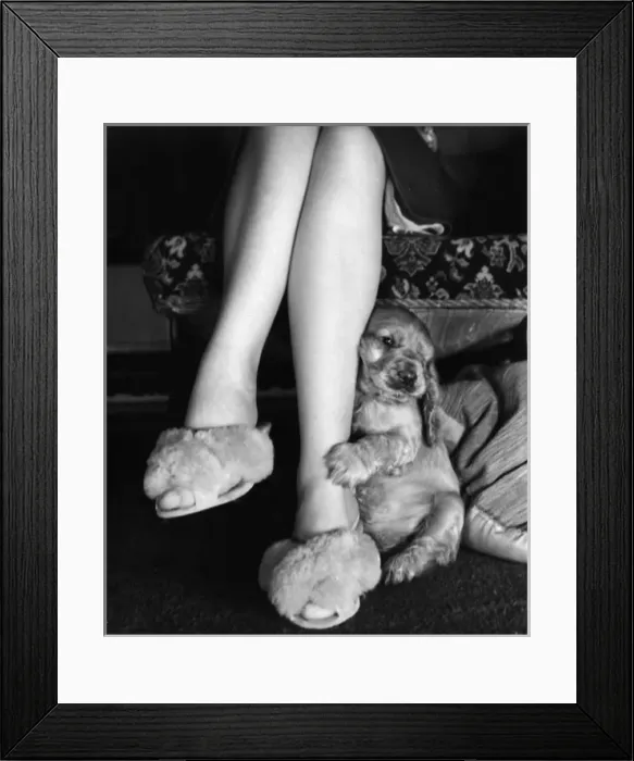 Framed Print : Susi - sitting at Mums feet Framed Print : Susi - sitting at Mums feet