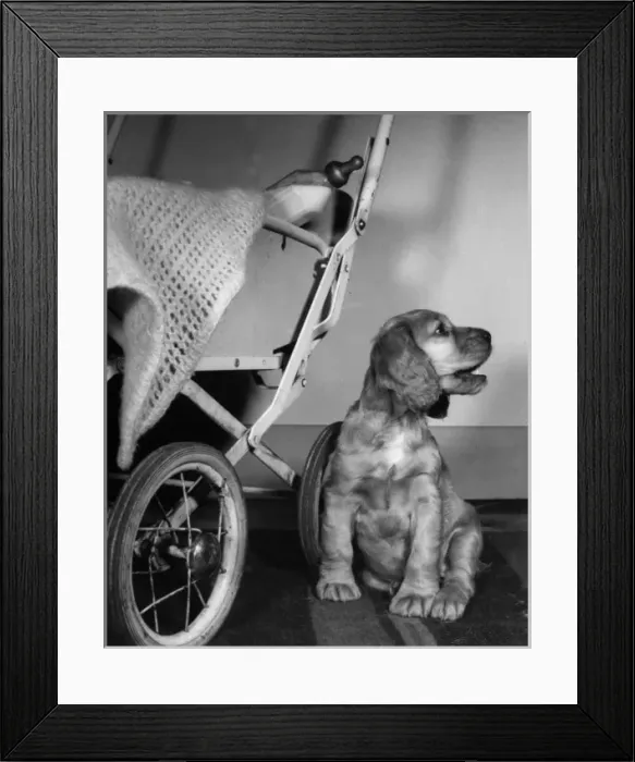 Framed Print : Susi - with babys pushchair and milk bottle