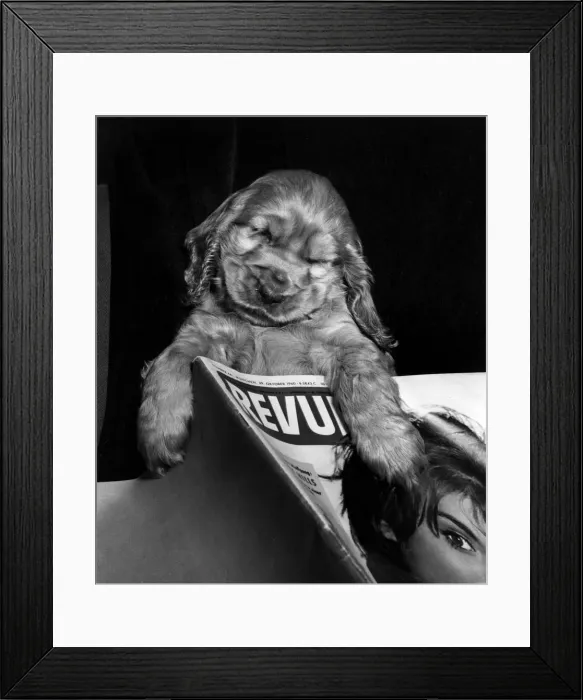 Framed Print : Susi - asleep with a magazine Framed Print : Susi - asleep with a magazine