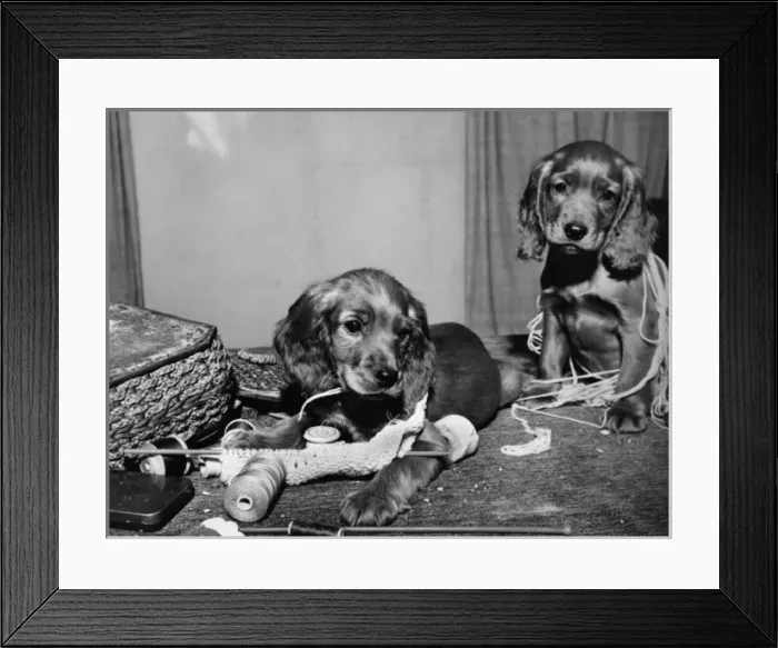 Framed Print : Susi and friend with knitting and sewing things Framed Print : Susi and friend with knitting and sewing things
