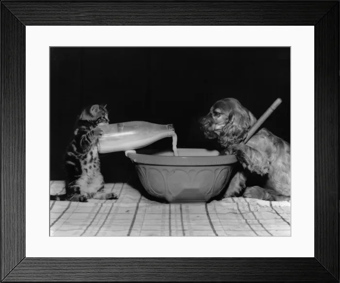 Framed Print : Susi - baking Framed Print : Susi - baking