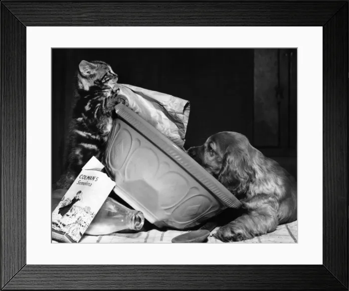 Framed Print : Susi - tipping up a mixing bowl Framed Print : Susi - tipping up a mixing bowl