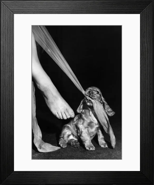 Framed Print : Susi - ruining Mums stockings Framed Print : Susi - ruining Mums stockings
