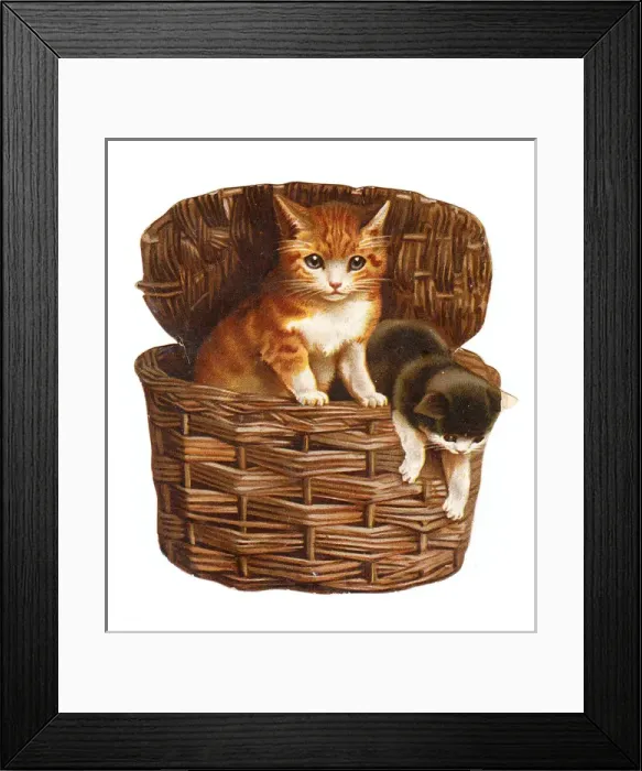 Framed Print : Two kittens in a basket on a cutout greetings card Framed Print : Two kittens in a basket on a cutout greetings card