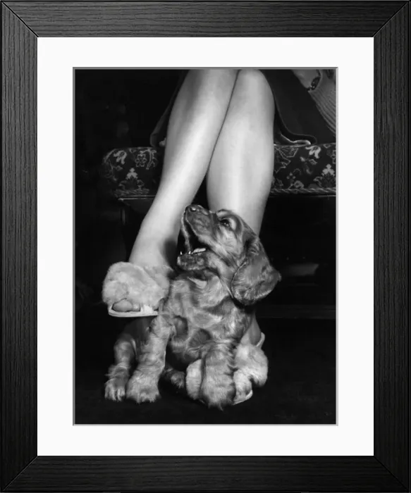 Framed Print : Susi - sitting at Mums feet Framed Print : Susi - sitting at Mums feet