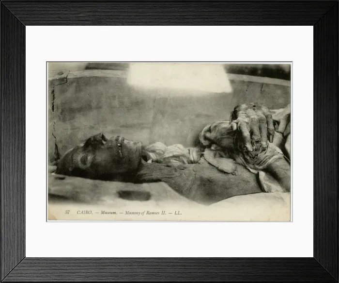 Framed Print : Egypt, Africa - The Mummy of Rameses II at Cairo Framed Print : Egypt, Africa - The Mummy of Rameses II at Cairo