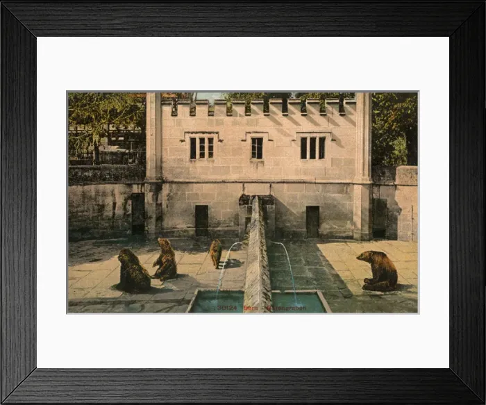 Framed Print : Bern - The Bear PIt - Switzerland Framed Print : Bern - The Bear PIt - Switzerland
