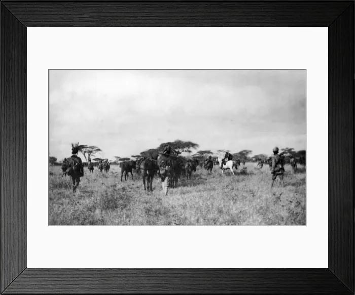 Framed Print : On patrol with General Smuts, Salaita, East Africa, WW1 Framed Print : On patrol with General Smuts, Salaita, East Africa, WW1