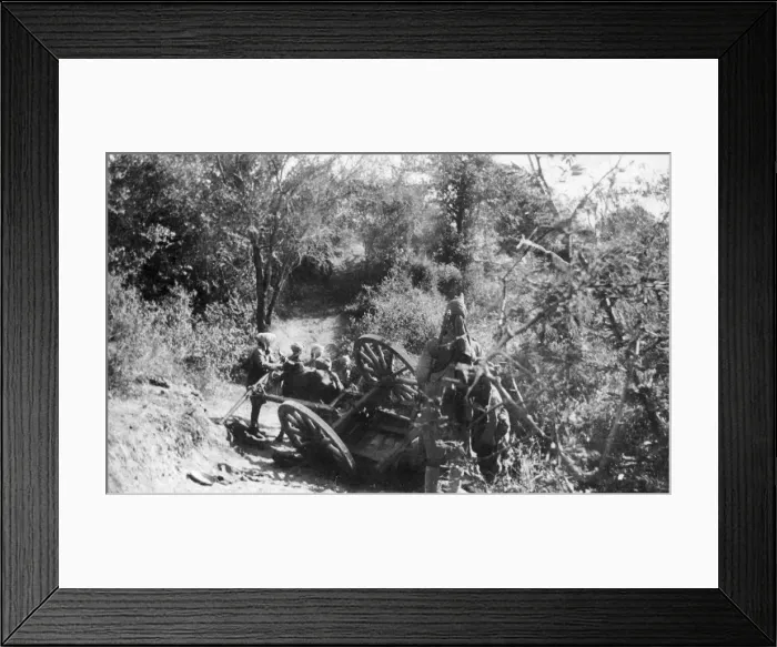 Framed Print : Ox transport on bank of Lumi River, East Africa, WW1 Framed Print : Ox transport on bank of Lumi River, East Africa, WW1