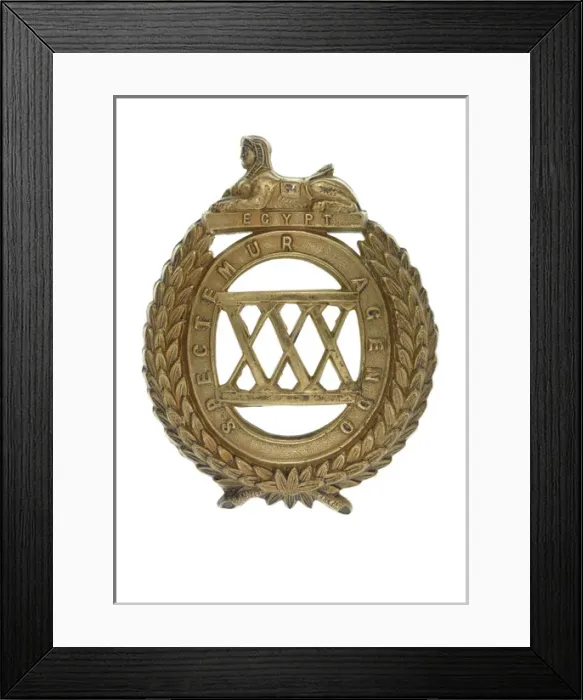 Framed Print : Military Badge Framed Print : Military Badge