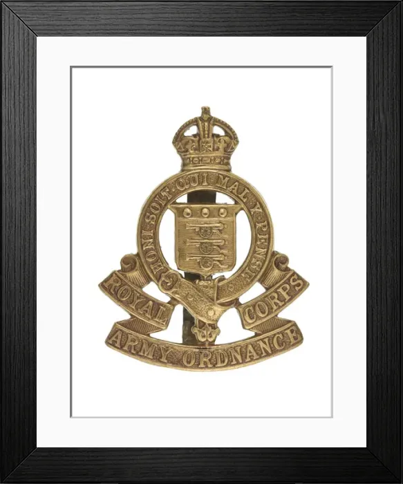 Framed Print : Military Badge Framed Print : Military Badge