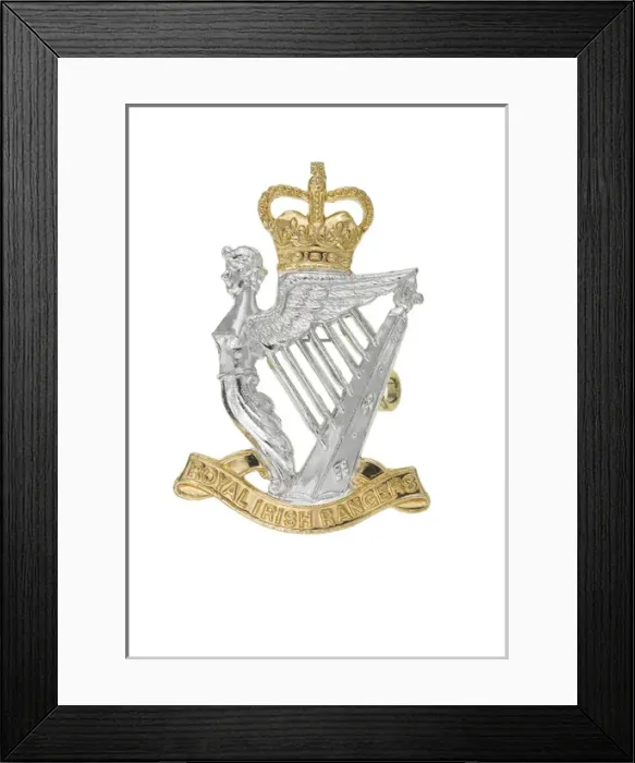 Framed Print : Military Badge Framed Print : Military Badge