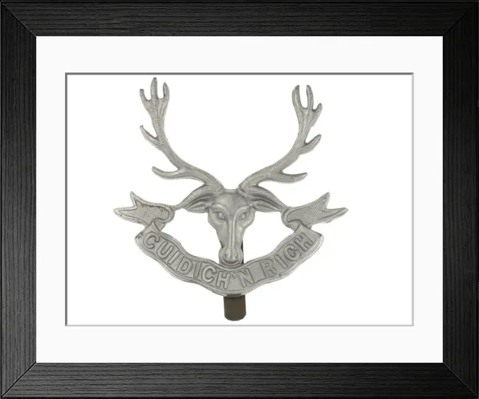 Framed Print : Military Badge Framed Print : Military Badge