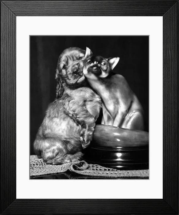 Framed Print : Susi - with ornamental cat Framed Print : Susi - with ornamental cat