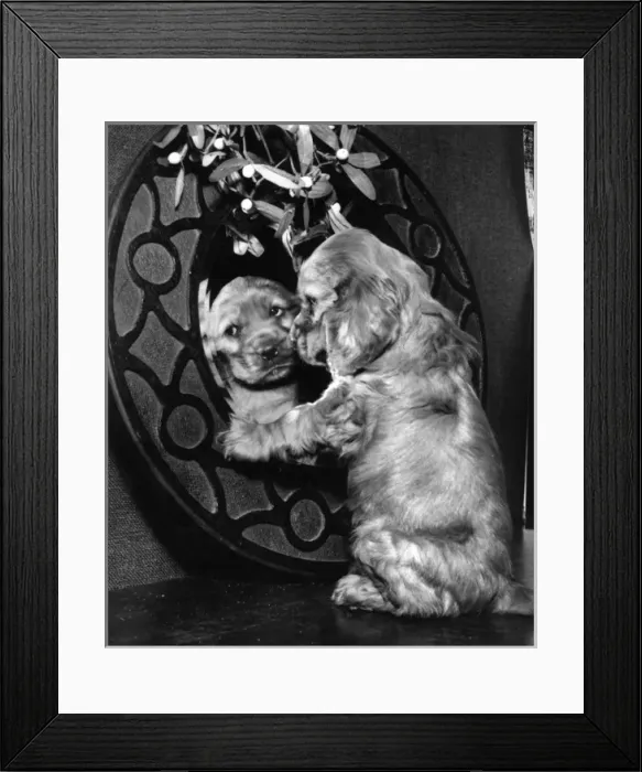 Framed Print : Susi - looking in the mirror