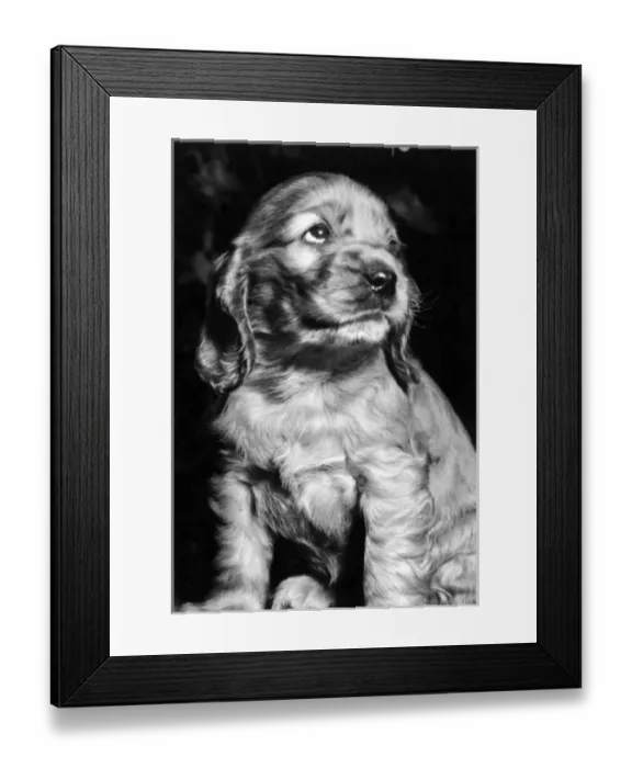 Framed Print : Susi - looking up Framed Print : Susi - looking up
