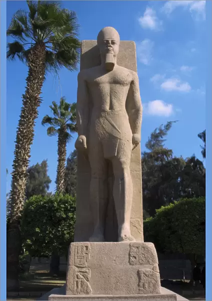 Statue of Pharaoh Ramses II. Memphis. Egypt