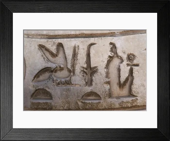 Framed Print : Egypt. Hieroglyphic writing Framed Print : Egypt. Hieroglyphic writing