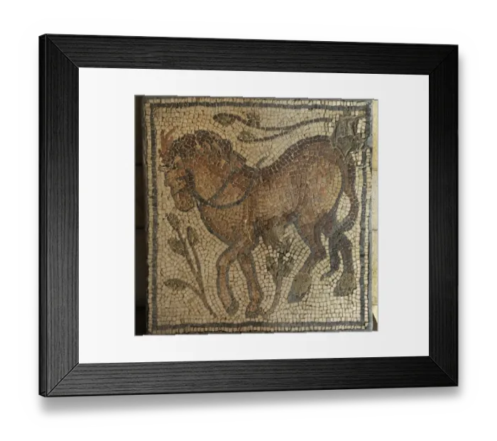 Framed Print : Mosaic. Beit Guvrin. Byzantine period, 4th century CE. Horse Framed Print : Mosaic. Beit Guvrin. Byzantine period, 4th century CE. Horse